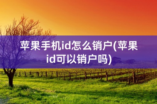 苹果手机id怎么销户(苹果id可以销户吗)