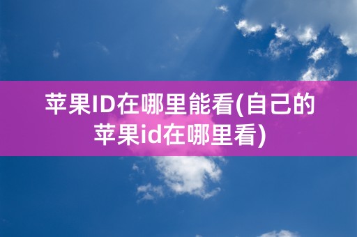 苹果ID在哪里能看(自己的苹果id在哪里看)