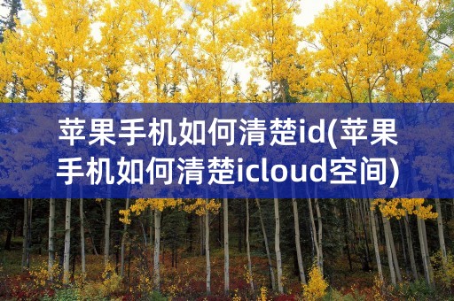 苹果手机如何清楚id(苹果手机如何清楚icloud空间)