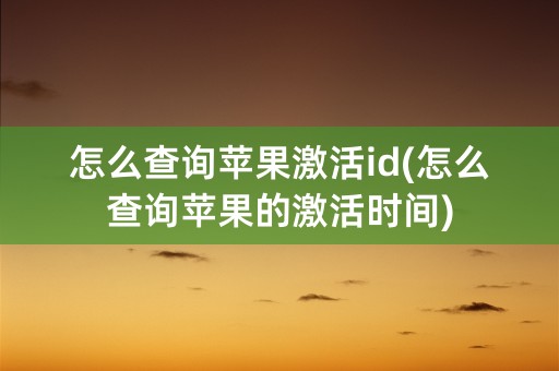 怎么查询苹果激活id(怎么查询苹果的激活时间)