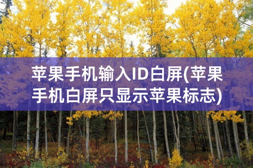 苹果手机输入ID白屏(苹果手机白屏只显示苹果标志)