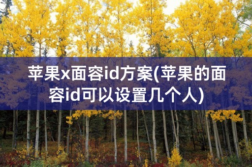 苹果x面容id方案(苹果的面容id可以设置几个人)