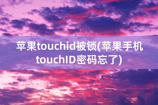 苹果touchid被锁(苹果手机touchID密码忘了)