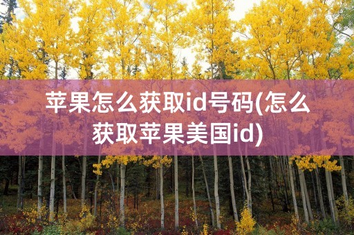 苹果怎么获取id号码(怎么获取苹果美国id)