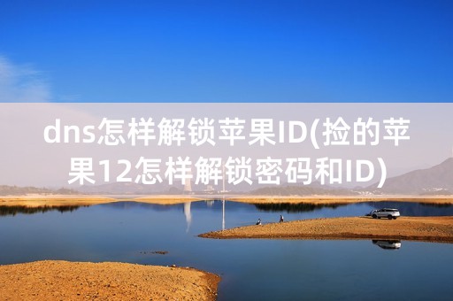 dns怎样解锁苹果ID(捡的苹果12怎样解锁密码和ID)