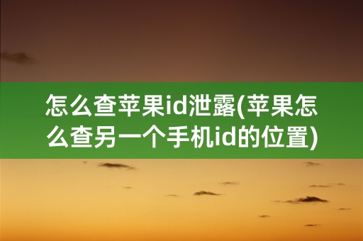 怎么查苹果id泄露(苹果怎么查另一个手机id的位置)