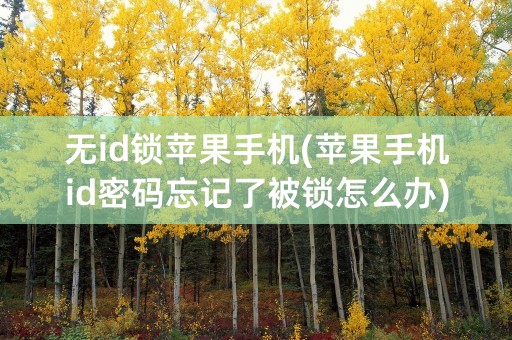 无id锁苹果手机(苹果手机id密码忘记了被锁怎么办)