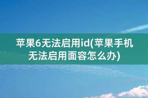 苹果6无法启用id(苹果手机无法启用面容怎么办)