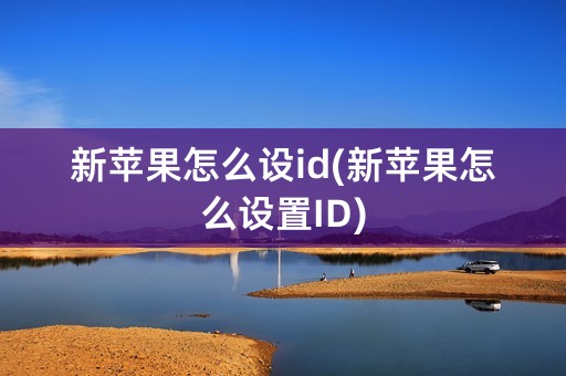 新苹果怎么设id(新苹果怎么设置ID)