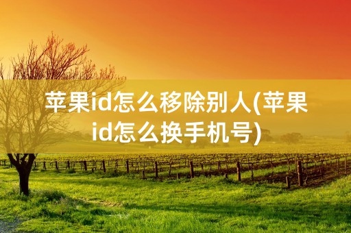 苹果id怎么移除别人(苹果id怎么换手机号)