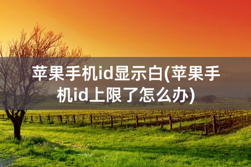 苹果手机id显示白(苹果手机id上限了怎么办)