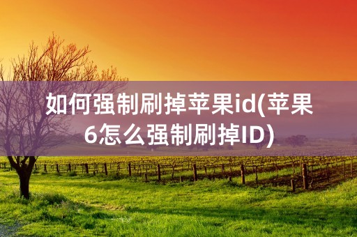 如何强制刷掉苹果id(苹果6怎么强制刷掉ID)