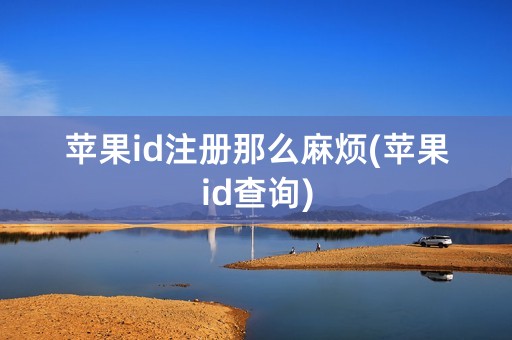 苹果id注册那么麻烦(苹果id查询)