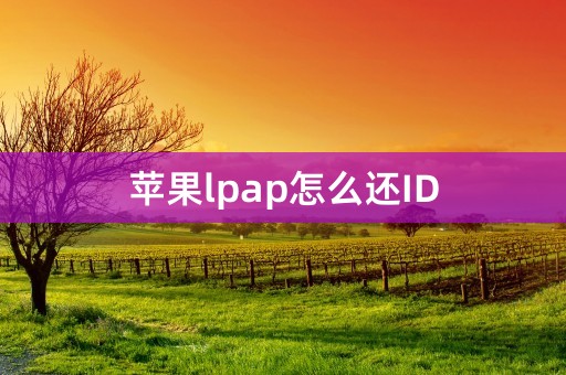 苹果lpap怎么还ID