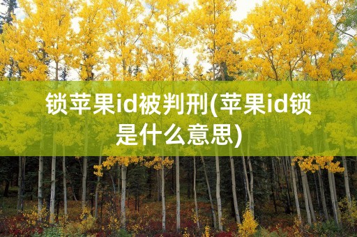 锁苹果id被判刑(苹果id锁是什么意思)