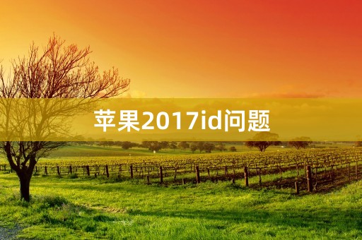 苹果2017id问题