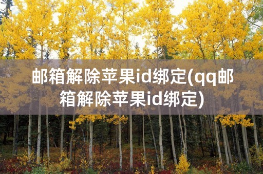 邮箱解除苹果id绑定(qq邮箱解除苹果id绑定)