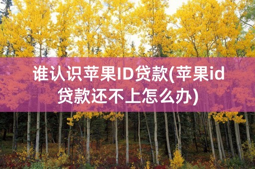 谁认识苹果ID贷款(苹果id贷款还不上怎么办)