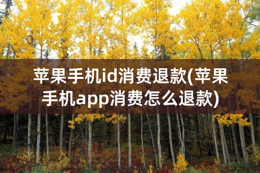 苹果手机id消费退款(苹果手机app消费怎么退款)