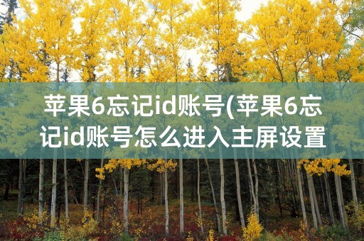 苹果6忘记id账号(苹果6忘记id账号怎么进入主屏设置)