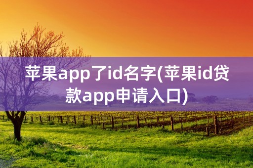 苹果app了id名字(苹果id贷款app申请入口)