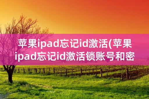 苹果ipad忘记id激活(苹果ipad忘记id激活锁账号和密码怎么办)