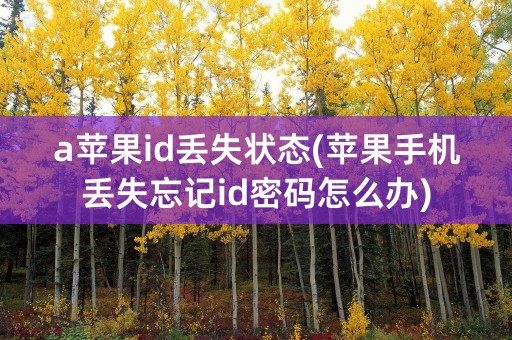 a苹果id丢失状态(苹果手机丢失忘记id密码怎么办)